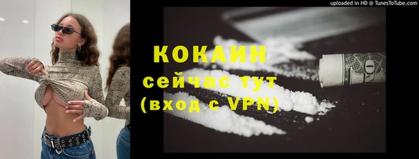винт Абаза