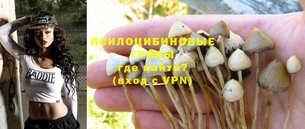 амф Абдулино