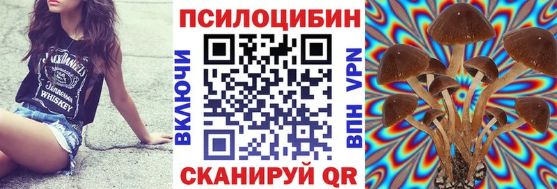 Псилоцибиновые грибы мухоморы  где продают   Туран 